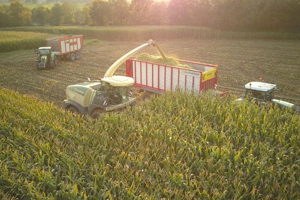 Save what can be saved. Manage feed shortages with the right strategy!