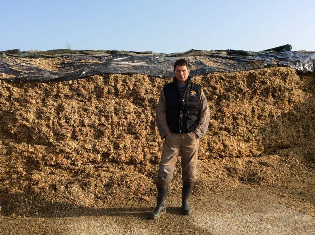 JOSILAC - silage inoculants for more safety in feeding
