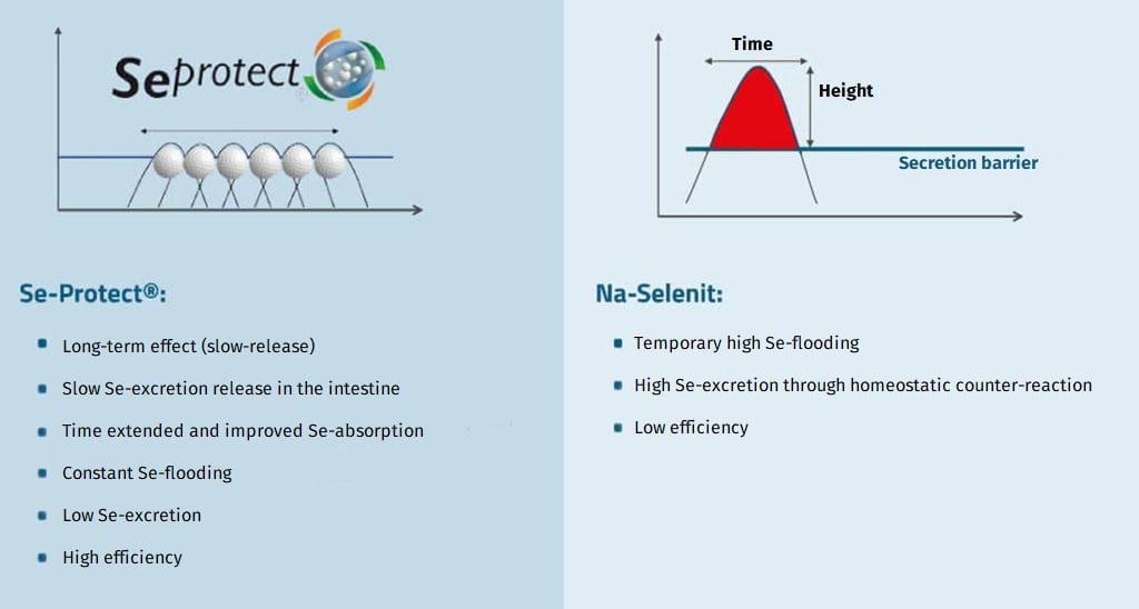 JOSERA Graphic shows comparison of Se-Protect and Na-Selenit