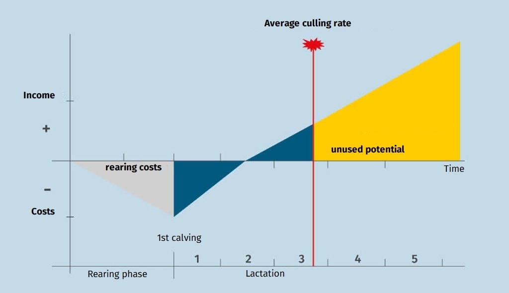 JOSERA graphic to avoid economic losses and to increase the life efficiency