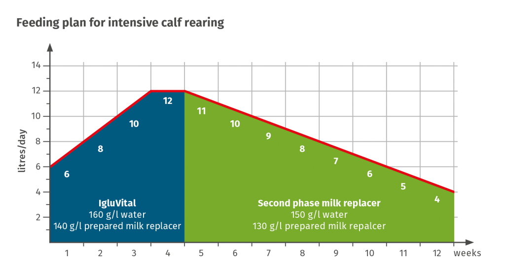 JOSERA table shows feeding plan for intensive calf rearing